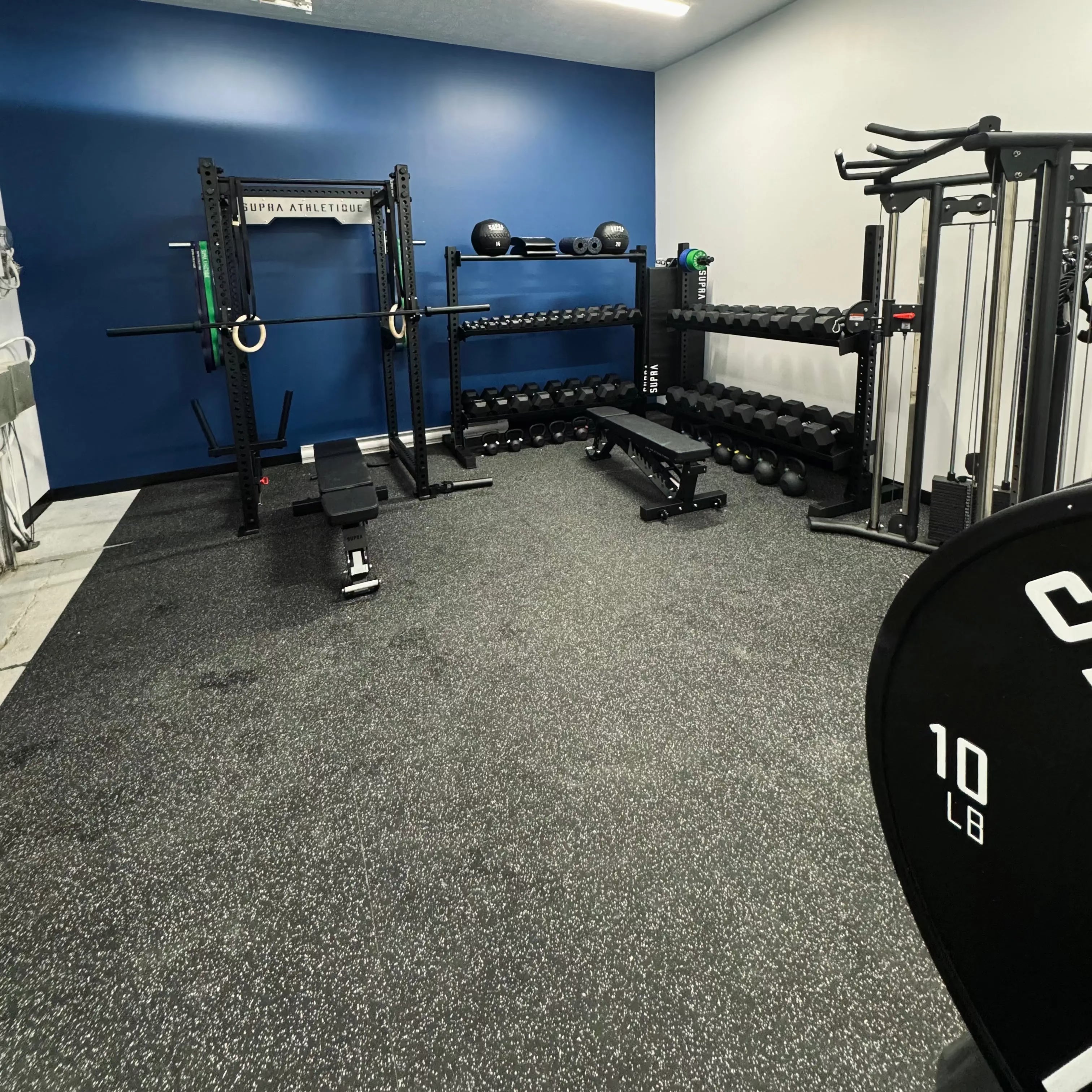 Rubber Roll Premium Series Supra Athletique